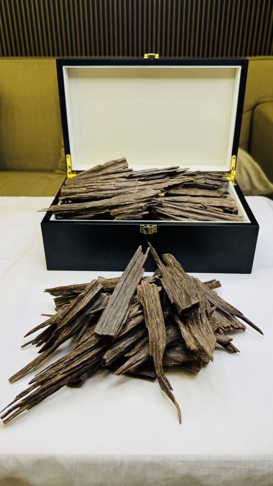 إمفال لكبار الشخصيات
